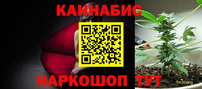 спайс Гагарин